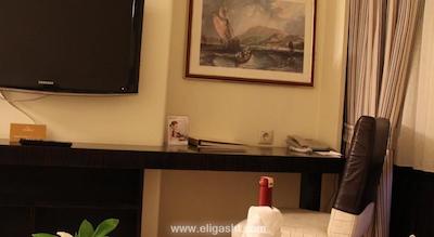 سورملی هتل آنکارا