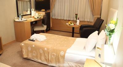 سورملی هتل آنکارا