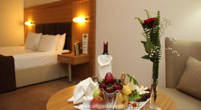 سورملی هتل آنکارا