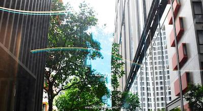 ام سوشال سنگاپور