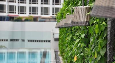 ام سوشال سنگاپور