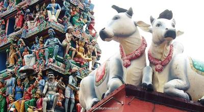 ام سوشال سنگاپور