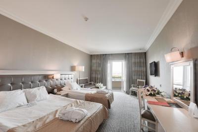 بویوک آناودلو