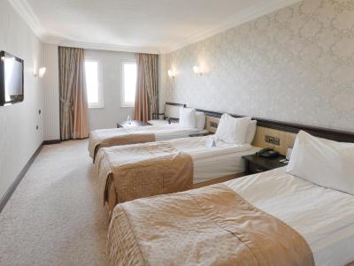 بویوک آناودلو