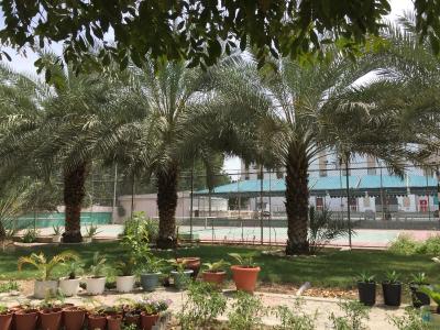 ال مدینه هالیدی