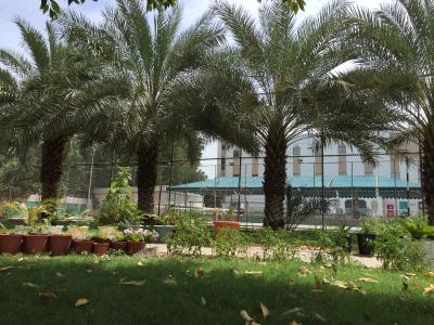 ال مدینه هالیدی