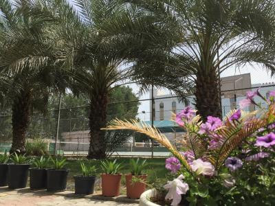 ال مدینه هالیدی
