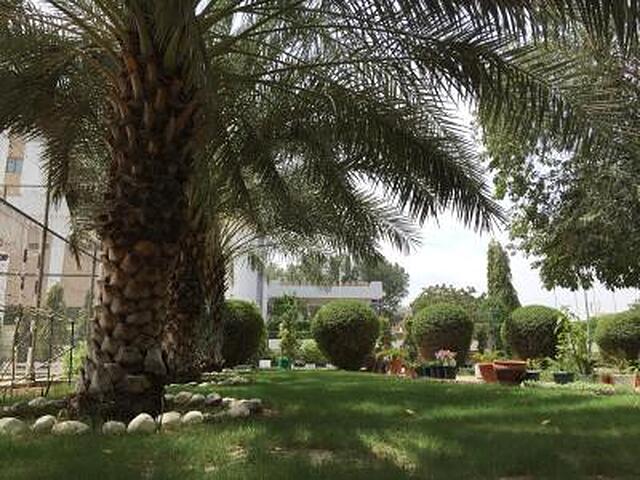 ال مدینه هالیدی