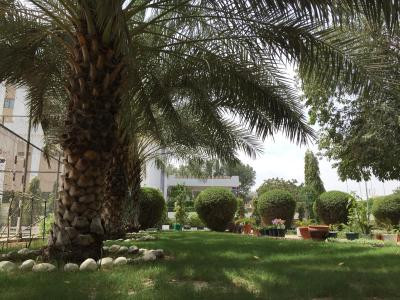 ال مدینه هالیدی