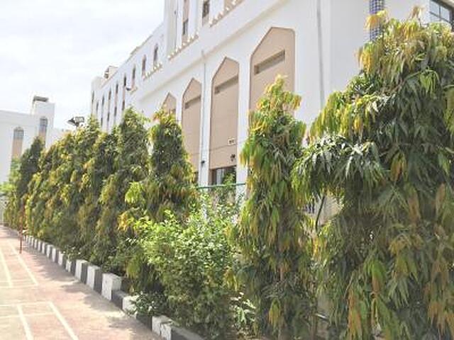 ال مدینه هالیدی