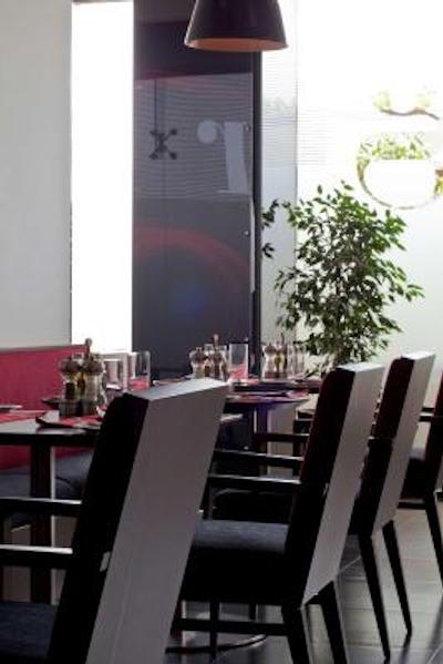 گلدن تولیپ مسقط