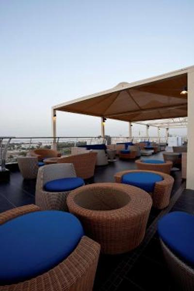 گلدن تولیپ مسقط