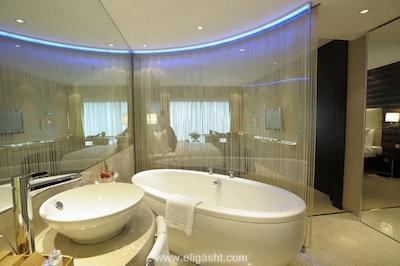 گرند آنکاراهتل (ریکسوس گراند آنکارا)