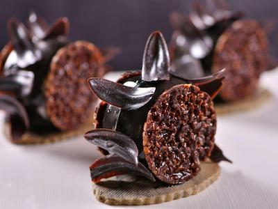 ترفن هاوس دوحه