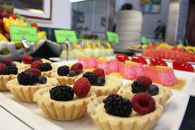 الدیار دانا هتل