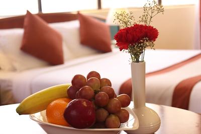 الدیار دانا هتل