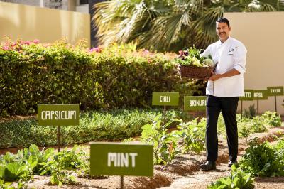 سوئیسوتل الغریر