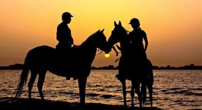 آنانتارا سیر بنی یاس آیلند-ال یام ویلا ریزورت