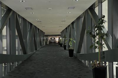 اسکوت پارک پلیس دبی