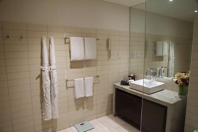 اسکوت پارک پلیس دبی