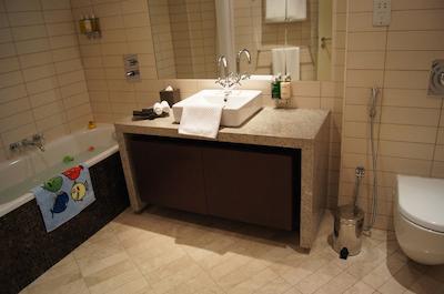 اسکوت پارک پلیس دبی