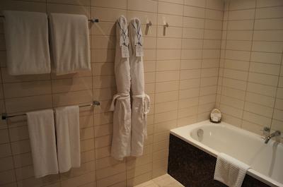 اسکوت پارک پلیس دبی