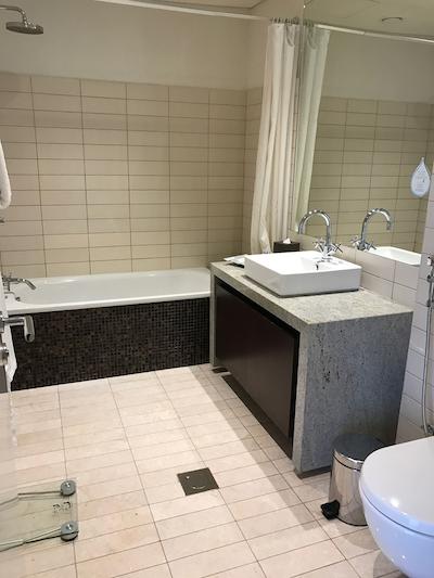 اسکوت پارک پلیس دبی