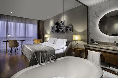 لیونل هتل استانبول