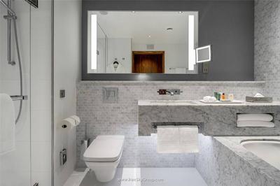 هیلتن سن پیترزبورگ اکسپوفروم