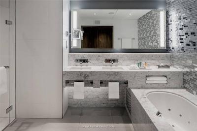 هیلتن سن پیترزبورگ اکسپوفروم