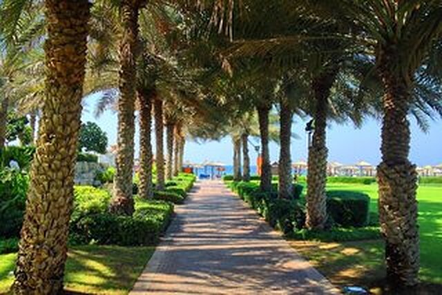 کورال بیچ ریزورت