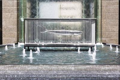 ریتز کارلتون دبی اینترنشنال فایننشال سنتر