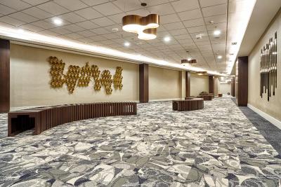 رسیدنک این ریو دده ژانیرو بارا دا تیجوکا