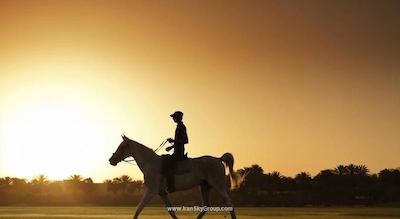 دیزرت پالم ریزورت