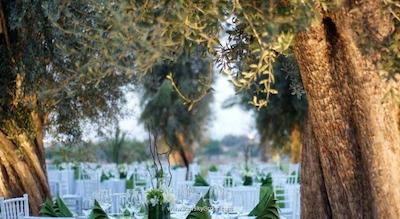 دیزرت پالم ریزورت