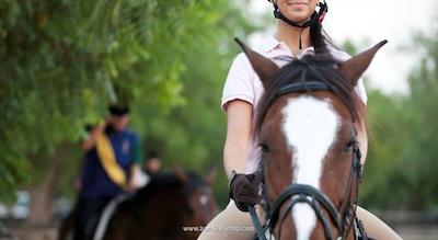 دیزرت پالم ریزورت