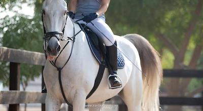 دیزرت پالم ریزورت