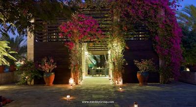 دیزرت پالم ریزورت