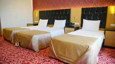 ویس هتل آکادمیک کناکلاما اسپا اند کنفرانس