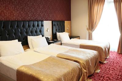 ویس هتل آکادمیک کناکلاما اسپا اند کنفرانس