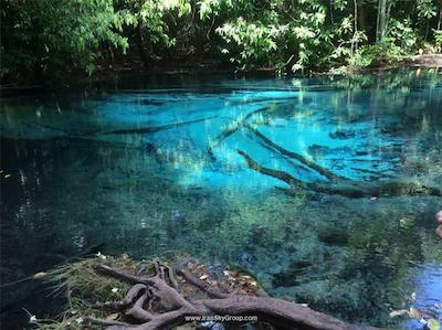 د گرس سرویسد سوئیتس