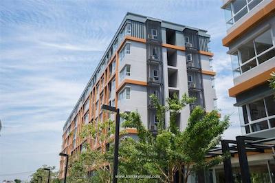 د گرس سرویسد سوئیتس