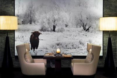 ماریوت هتل الجداف دبی