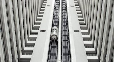 دوسیت تانی ابوظبی