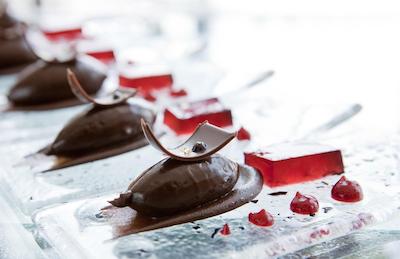 فرمونت باب البحر