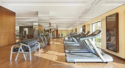 فرمونت د پالم