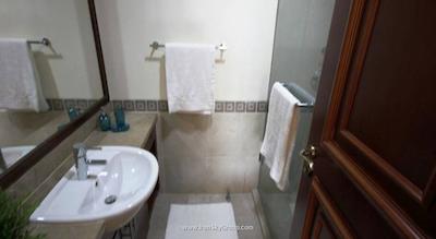 فرمونت د پالم