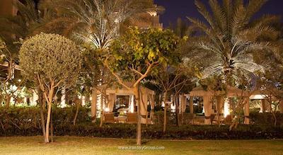 فرمونت د پالم