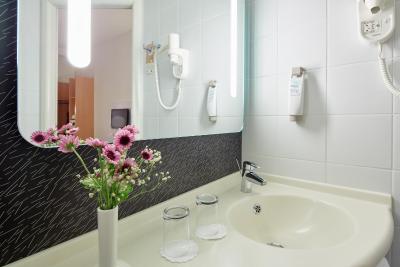 آیبیس استانبول توزلا