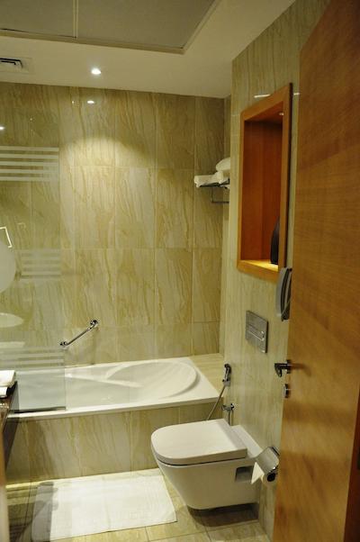 فورچون پارک هتل